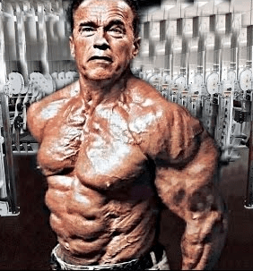 arnold anavar arnold anavar