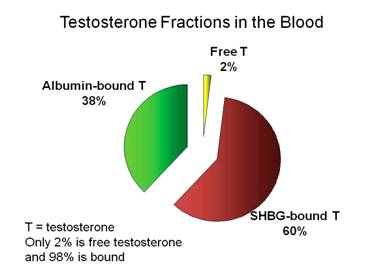 testosterona baja