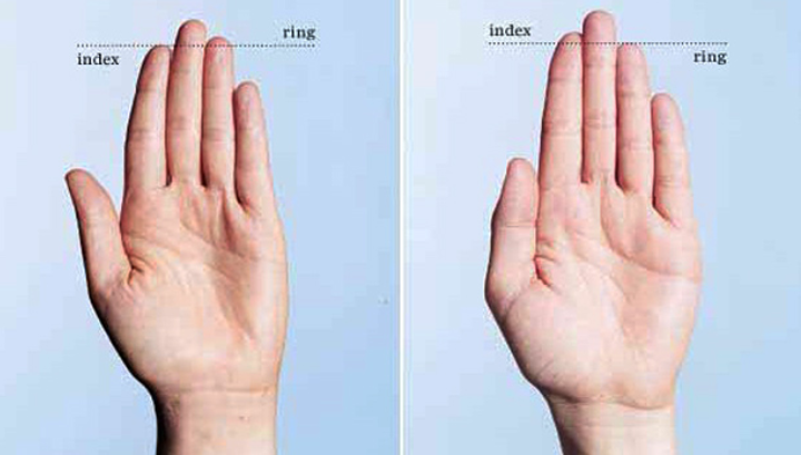 Testosterona longitud dedos