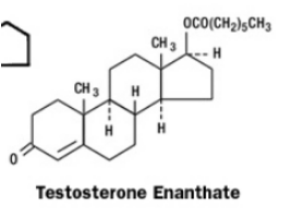 molecula de enantato de testosterona